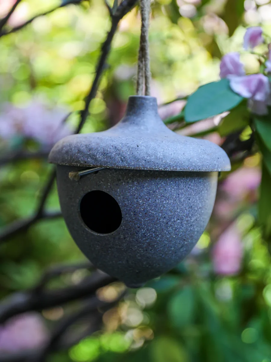 Casa de Nido para Pajaros Chaiten - Imagen 4