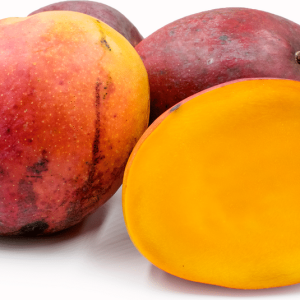Plantón Mango Injertado Tommy Atkins