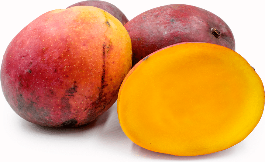 Plantón Mango Injertado Tommy Atkins - Imagen 2