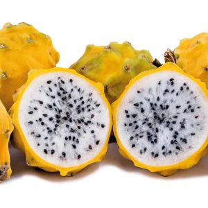 Pitahaya Amarilla – Hylocereus megalanthus